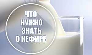 Что нужно знать о кефире?