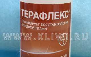 Артра МСМ или Терафлекс — что лучше?
