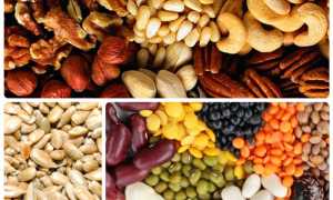 В каких продуктах содержится лецитин?