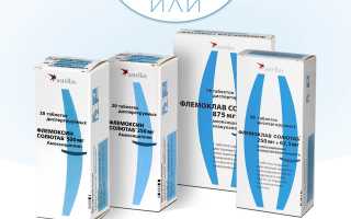 Флемоксин и Флемоклав — в чем разница?