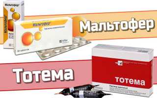 Тотема или Мальтофер?