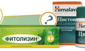 Цистон или Фитолизин?