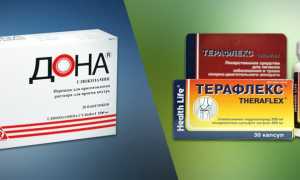 Дона или Терафлекс — что лучше?