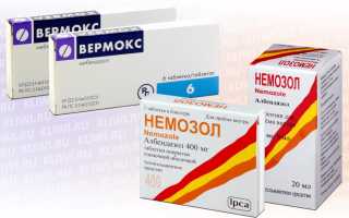 Вермокс или Немозол — что лучше?