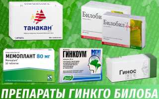 Сравниваем препараты Гинкго Билоба