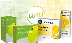 Уролесан или Канефрон — что лучше?