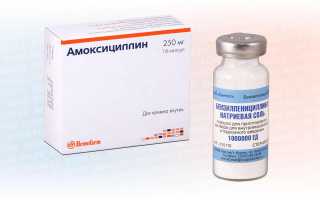 Амоксициллин или Пенициллин