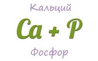 10 советов чтобы кальций лучше усваивался