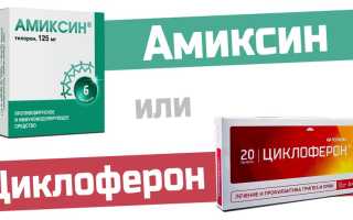Амиксин или Эргоферон — что лучше?