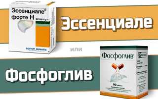 Фосфоглив или Эссенциале — что лучше?
